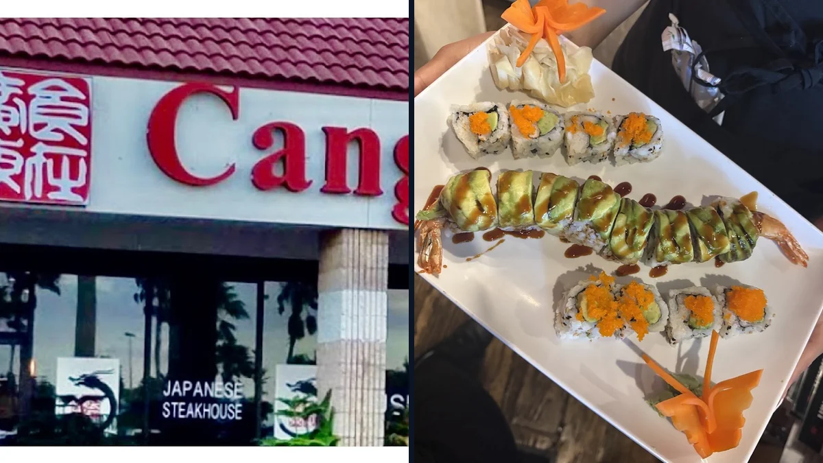 Chinese and Japanese dishes served in a sunny dining space.