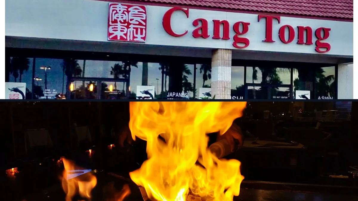 Chinese and Japanese dishes served in a sunny dining space.